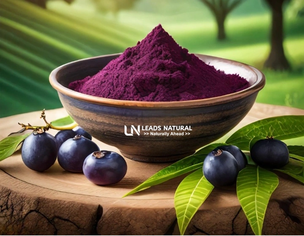 Acai berry Extract